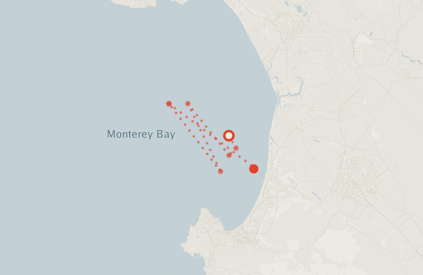 Activity map — real sighting points on an OpenStreetMap basemap