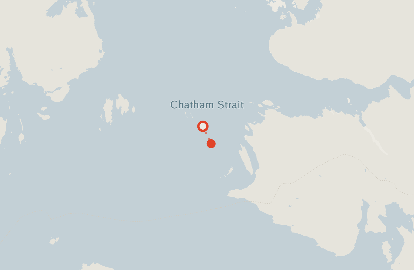 Activity map — real sighting points on an OpenStreetMap basemap