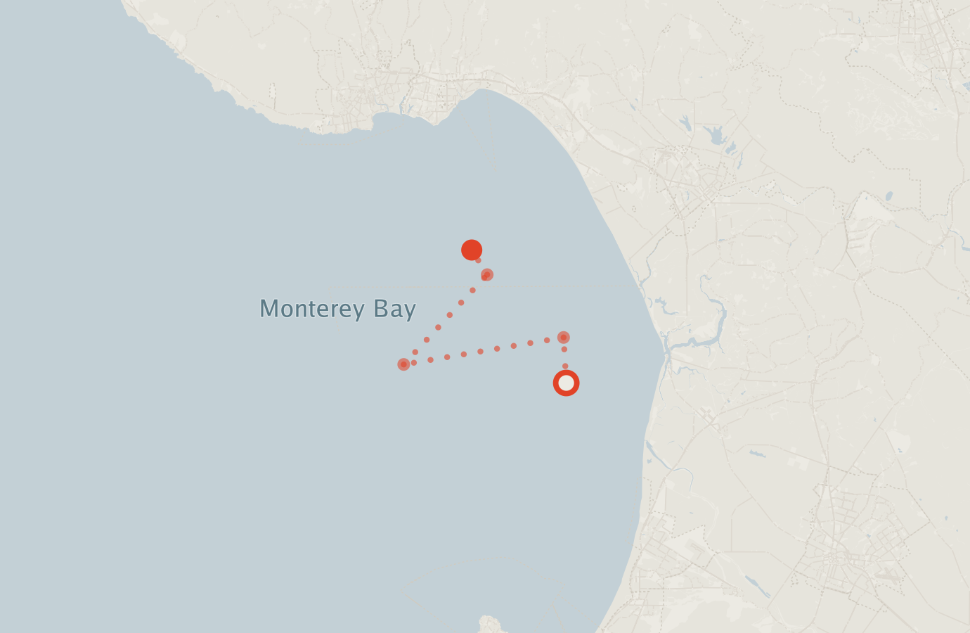 Activity map — real sighting points on an OpenStreetMap basemap