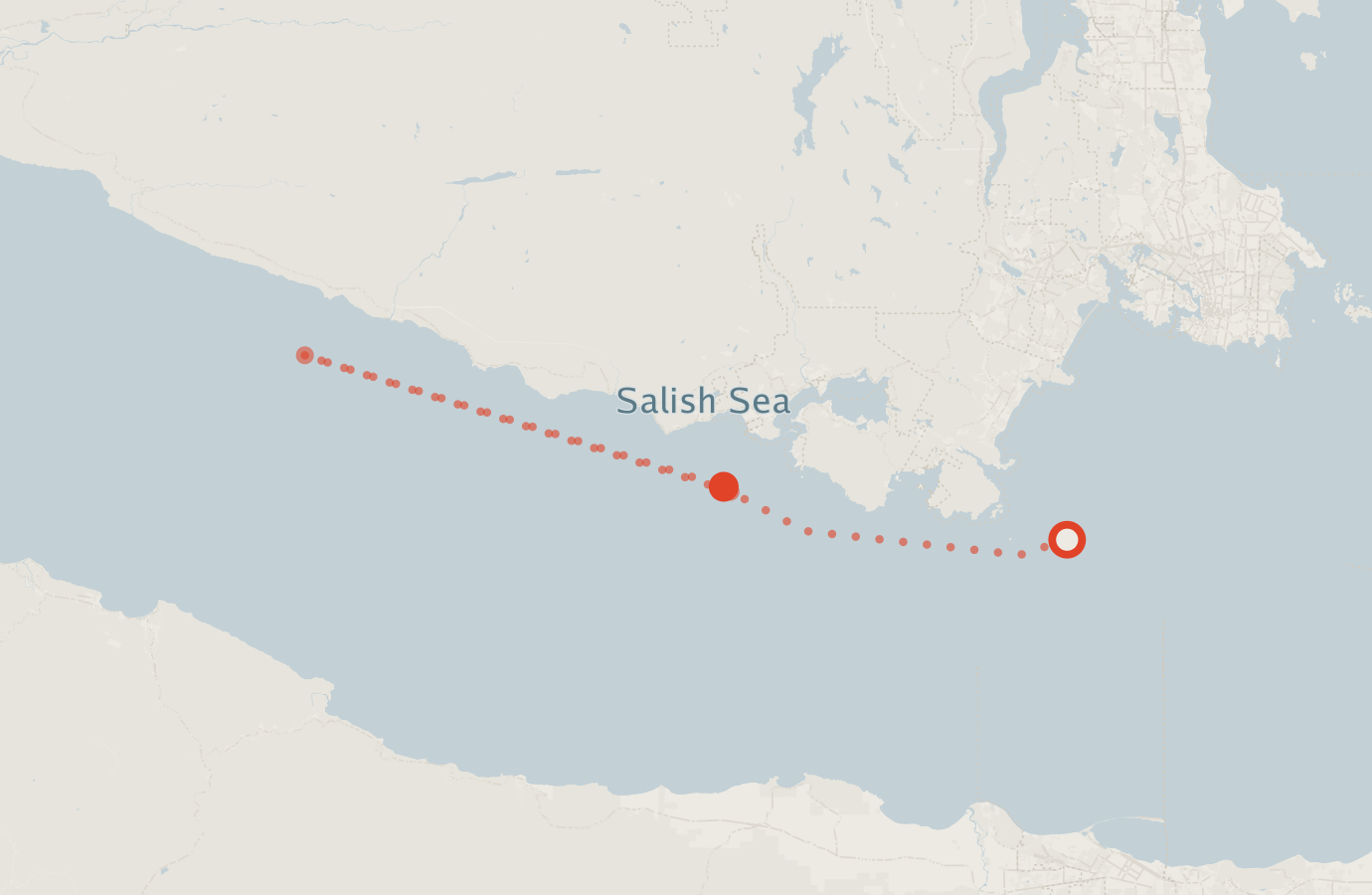 Activity map — real sighting points on an OpenStreetMap basemap