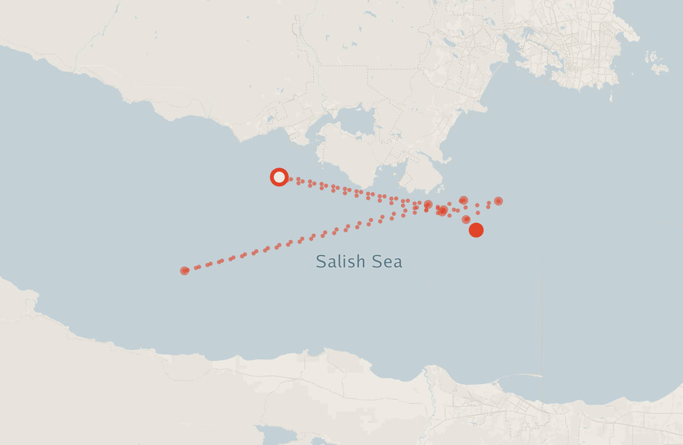 Activity map — real sighting points on an OpenStreetMap basemap