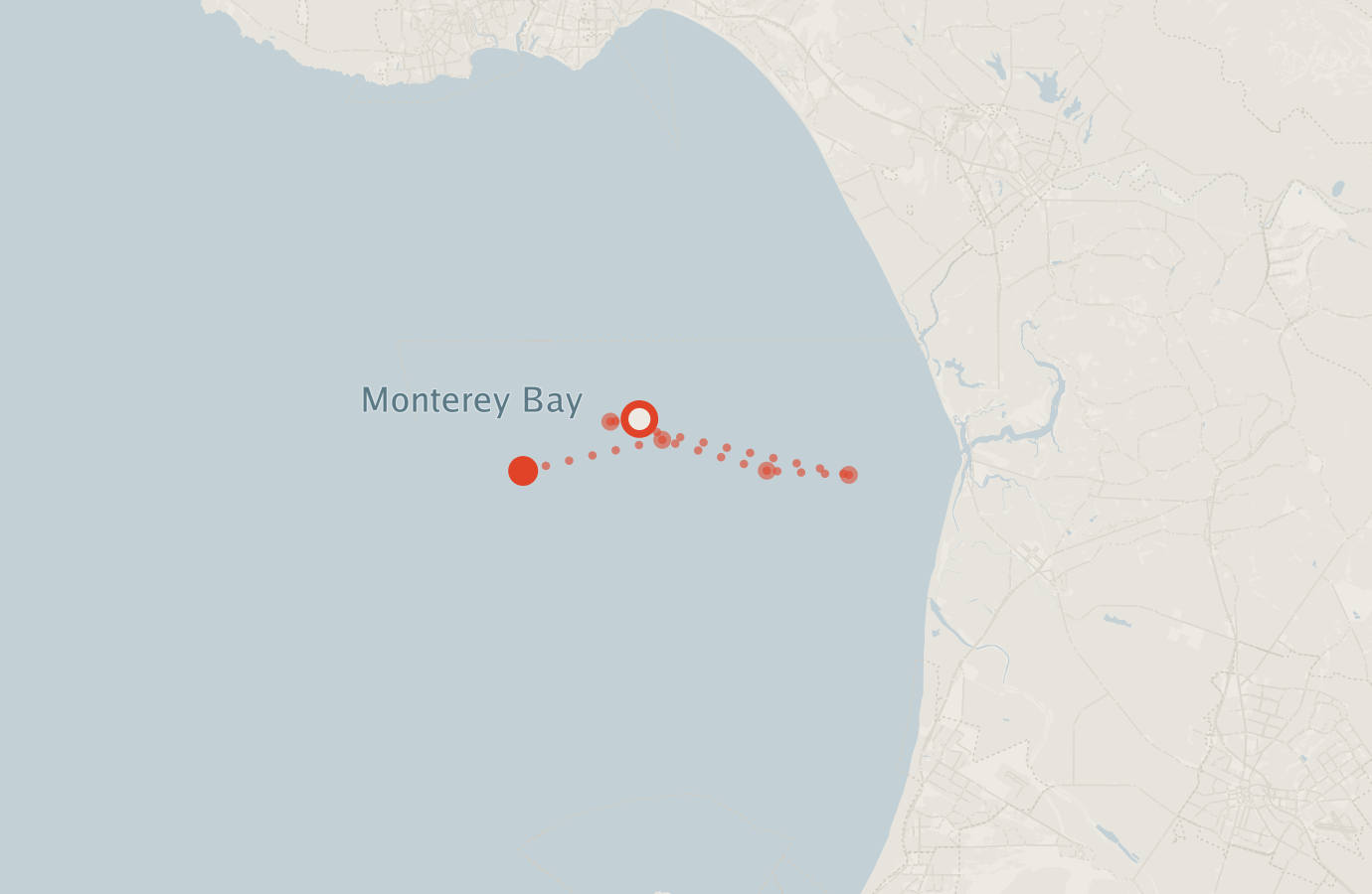Activity map — real sighting points on an OpenStreetMap basemap