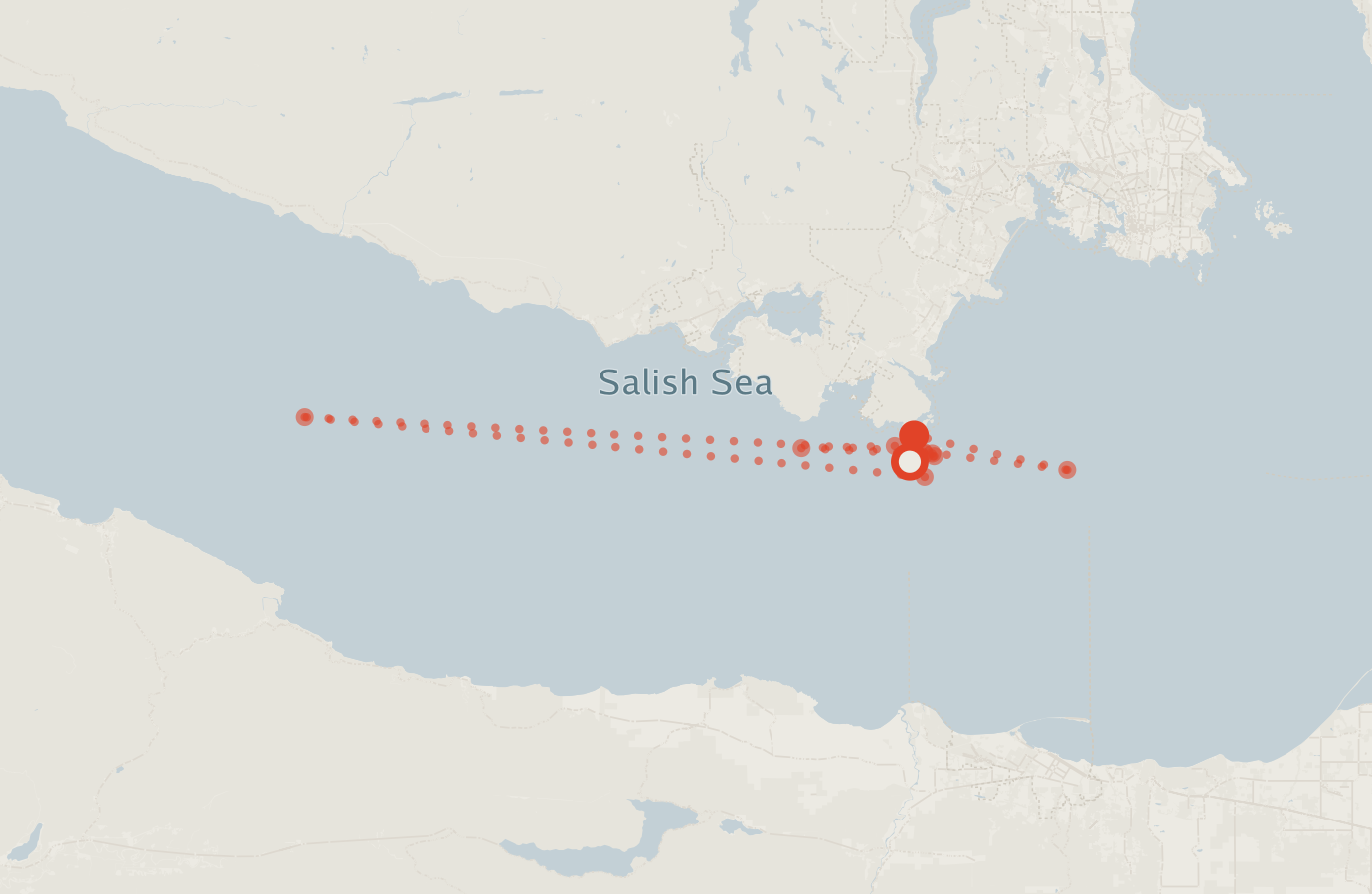 Activity map — real sighting points on an OpenStreetMap basemap
