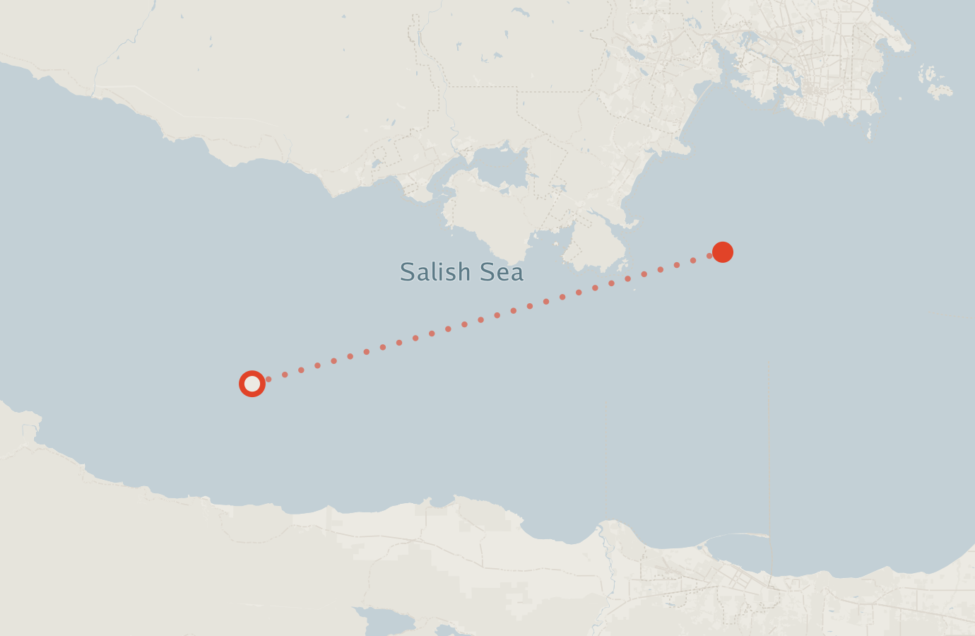 Activity map — real sighting points on an OpenStreetMap basemap