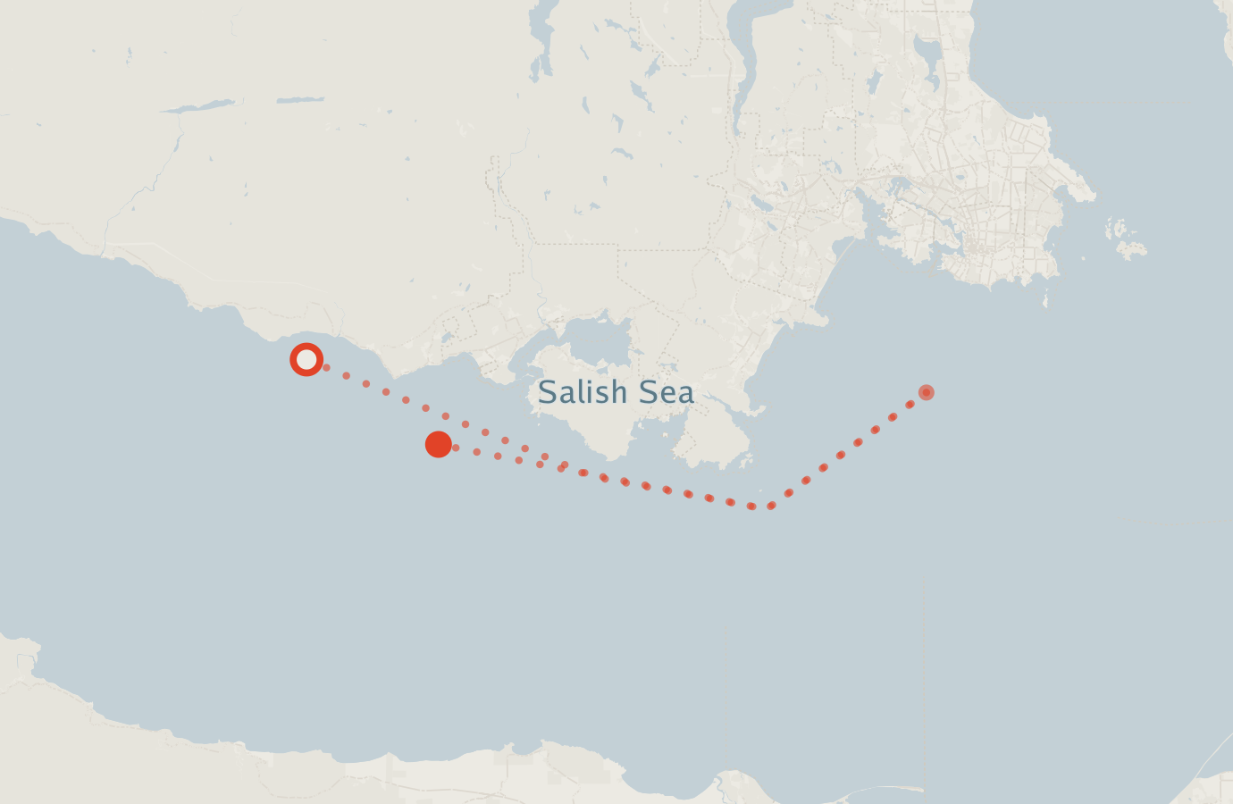 Activity map — real sighting points on an OpenStreetMap basemap
