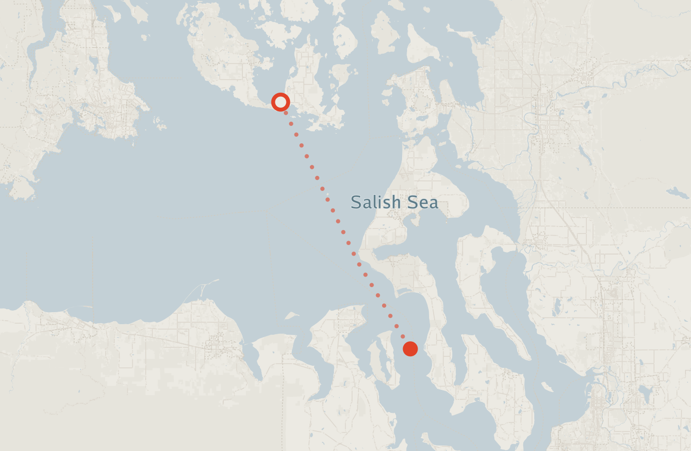 Activity map — real sighting points on an OpenStreetMap basemap