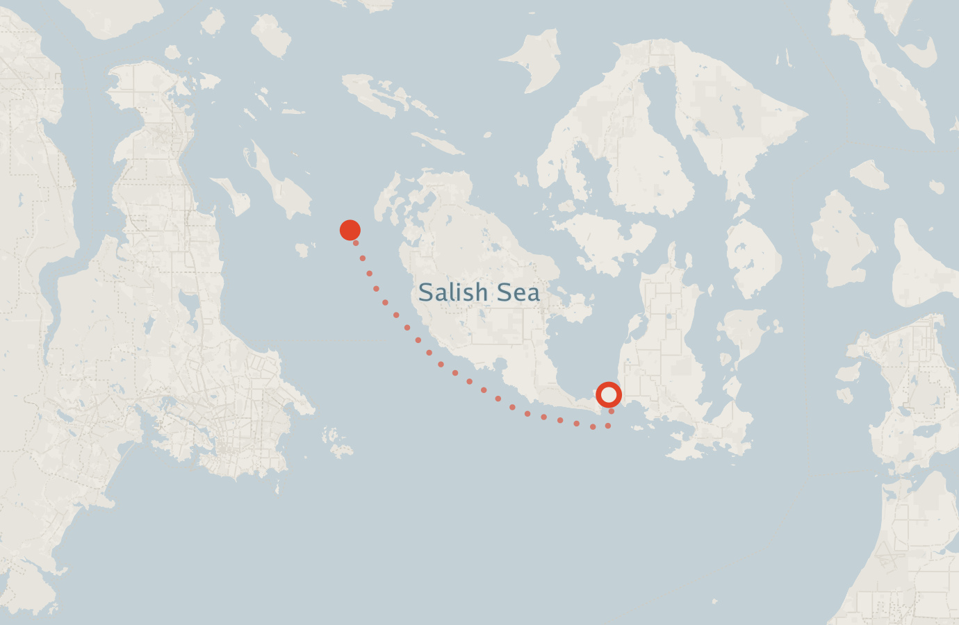 Activity map — real sighting points on an OpenStreetMap basemap