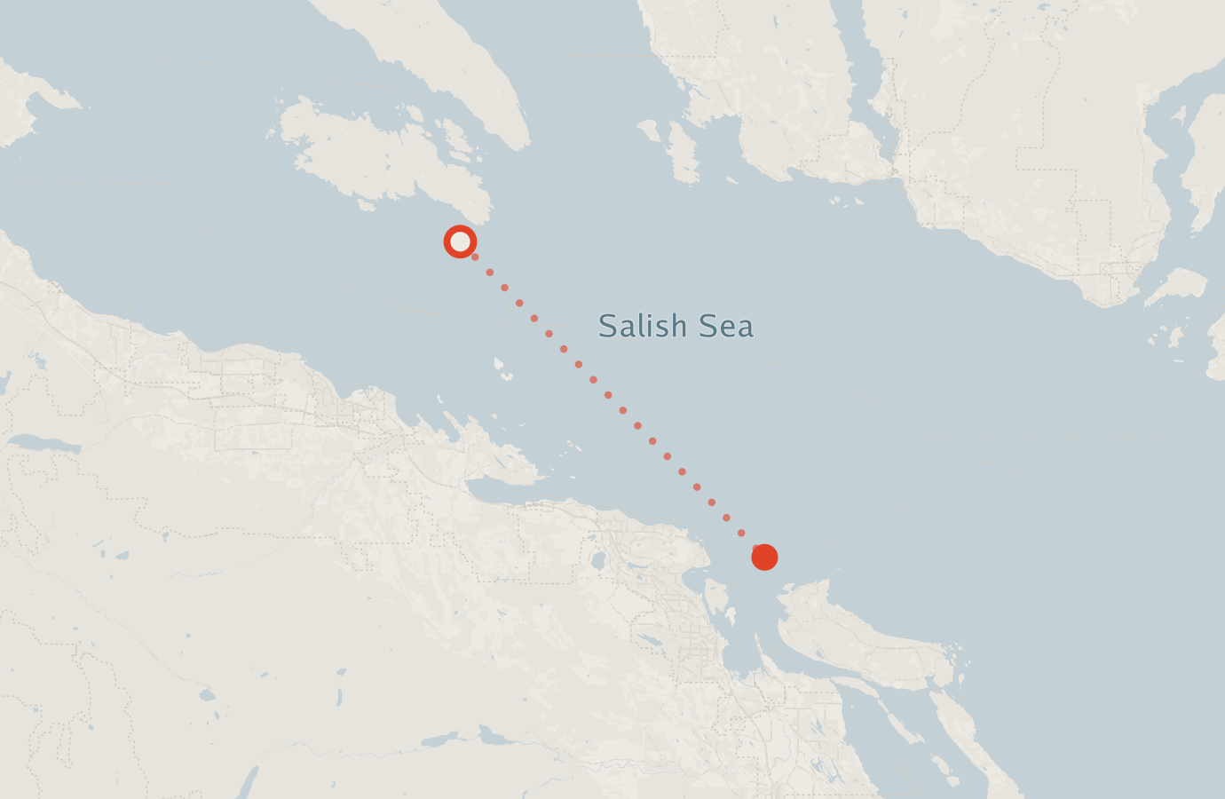Activity map — real sighting points on an OpenStreetMap basemap