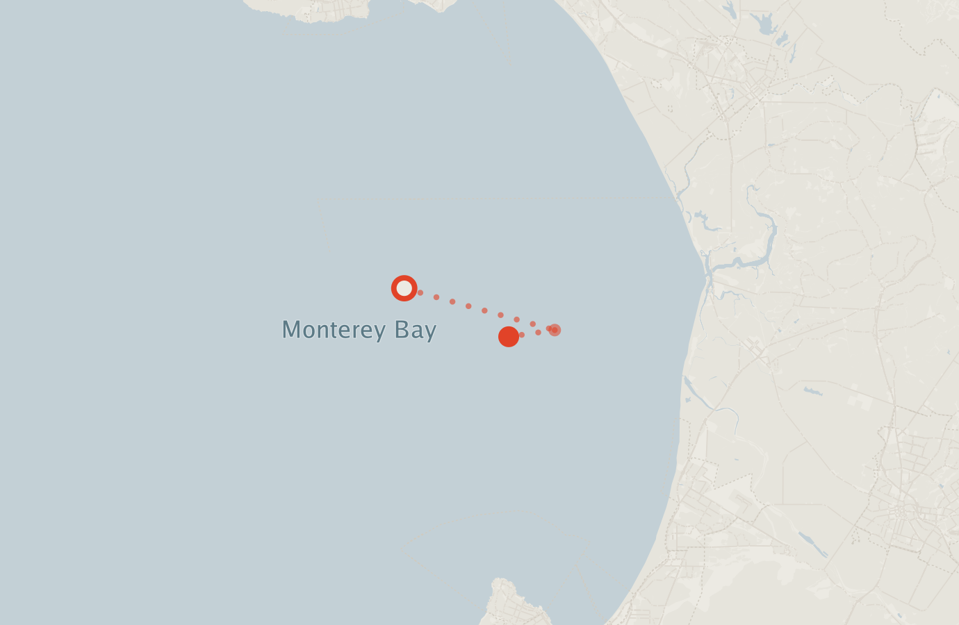Activity map — real sighting points on an OpenStreetMap basemap