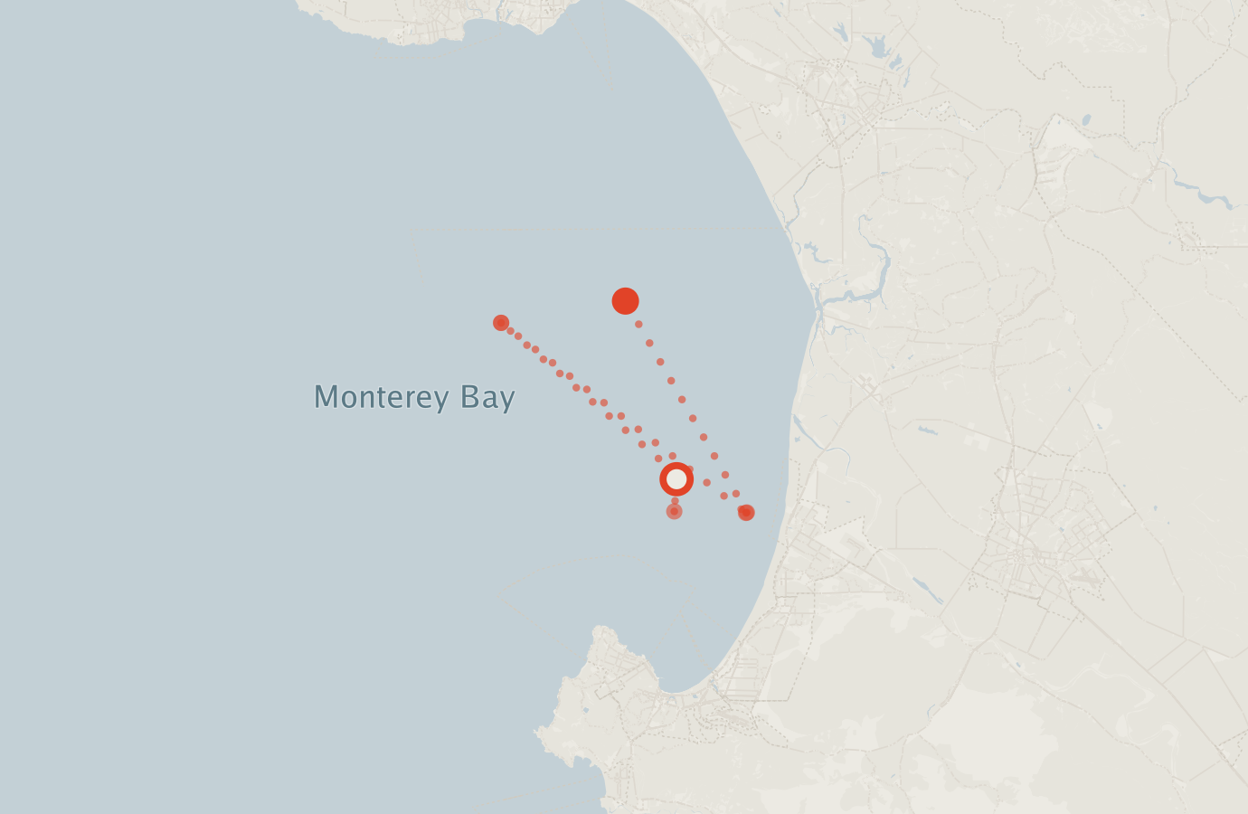 Activity map — real sighting points on an OpenStreetMap basemap