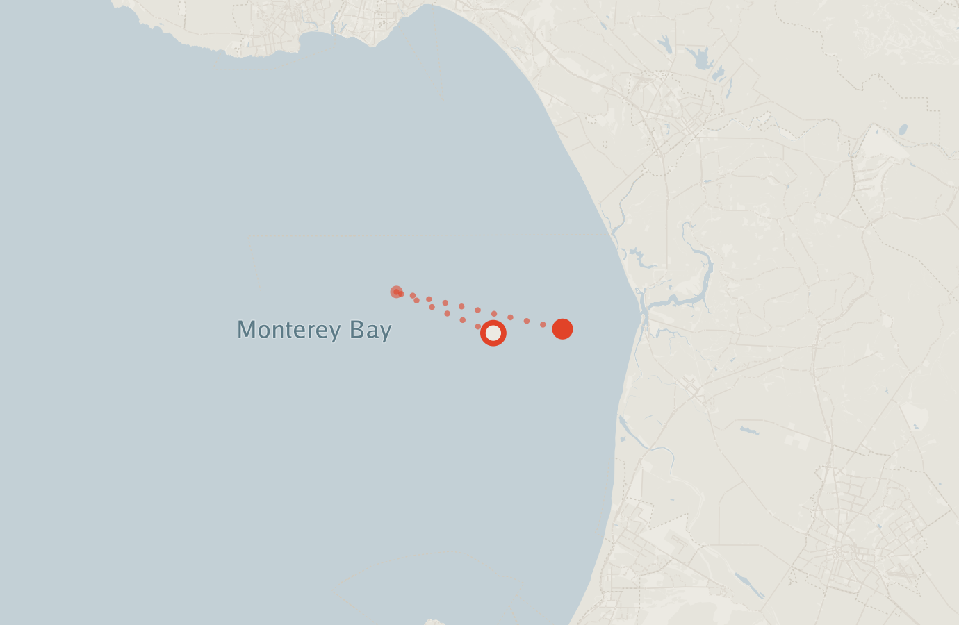 Activity map — real sighting points on an OpenStreetMap basemap