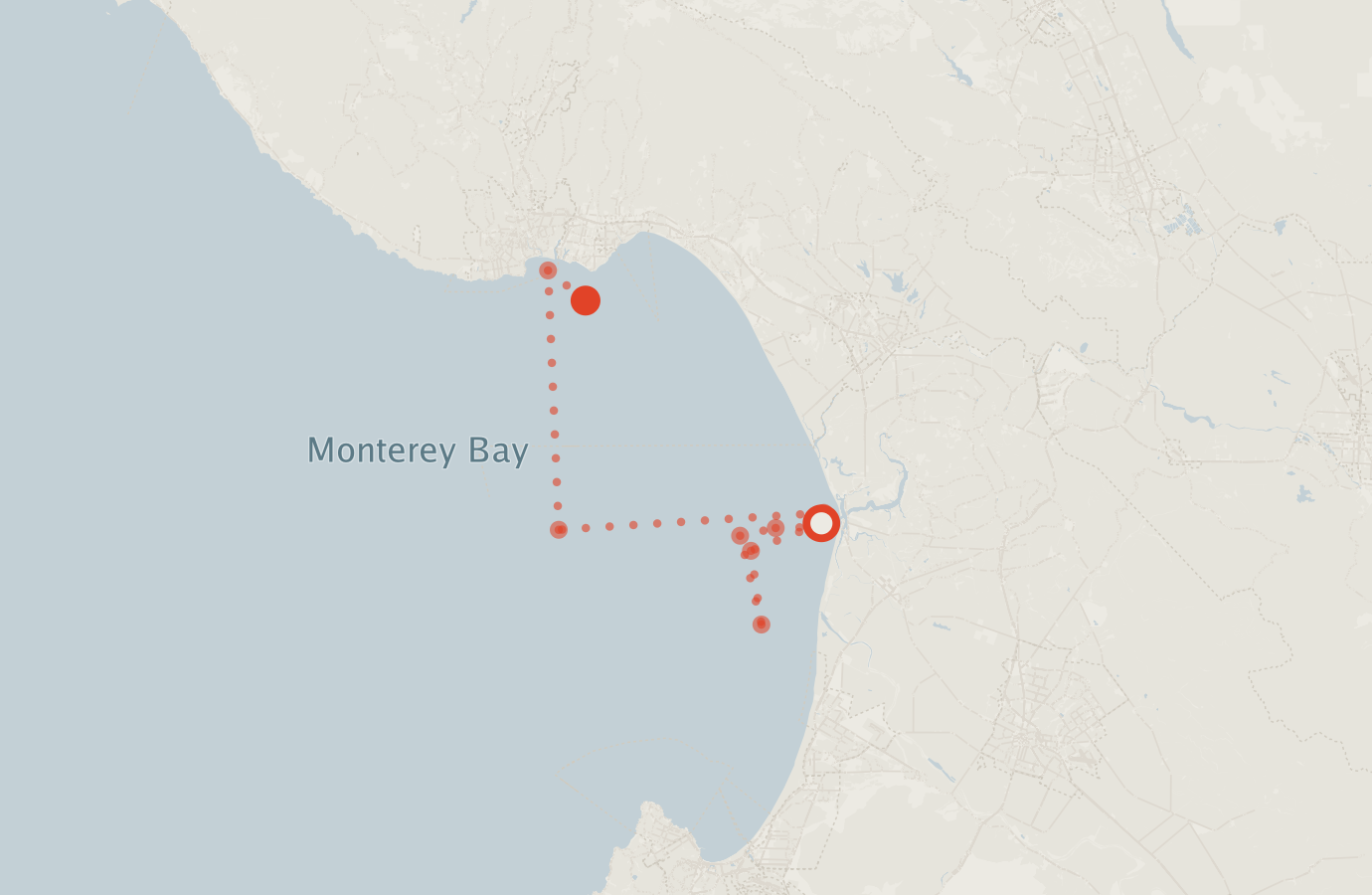 Activity map — real sighting points on an OpenStreetMap basemap