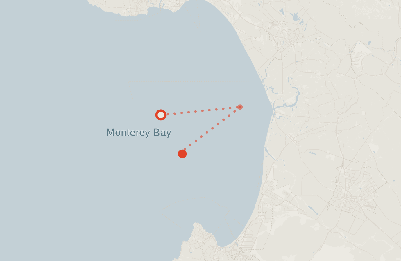 Activity map — real sighting points on an OpenStreetMap basemap