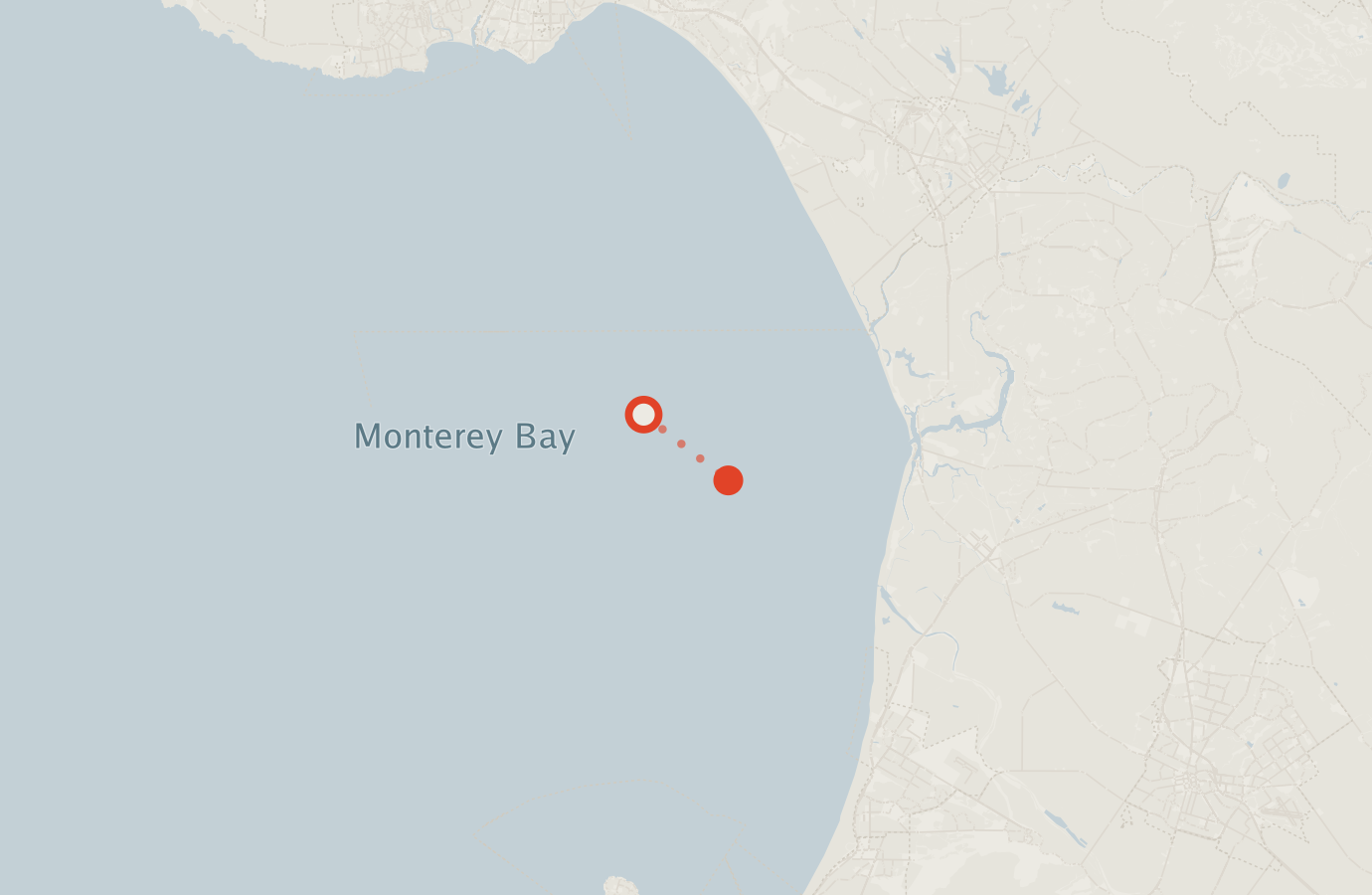 Activity map — real sighting points on an OpenStreetMap basemap