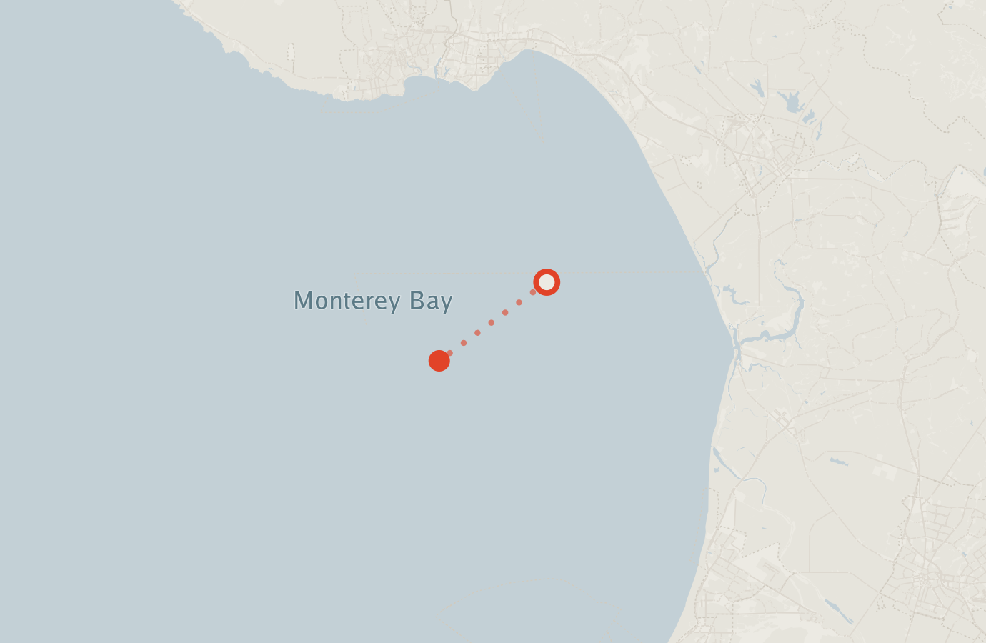Activity map — real sighting points on an OpenStreetMap basemap