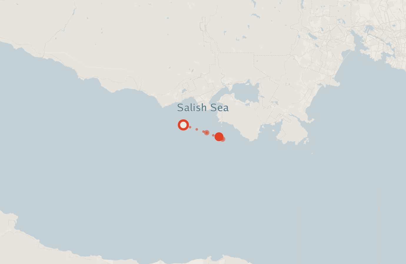 Activity map — real sighting points on an OpenStreetMap basemap