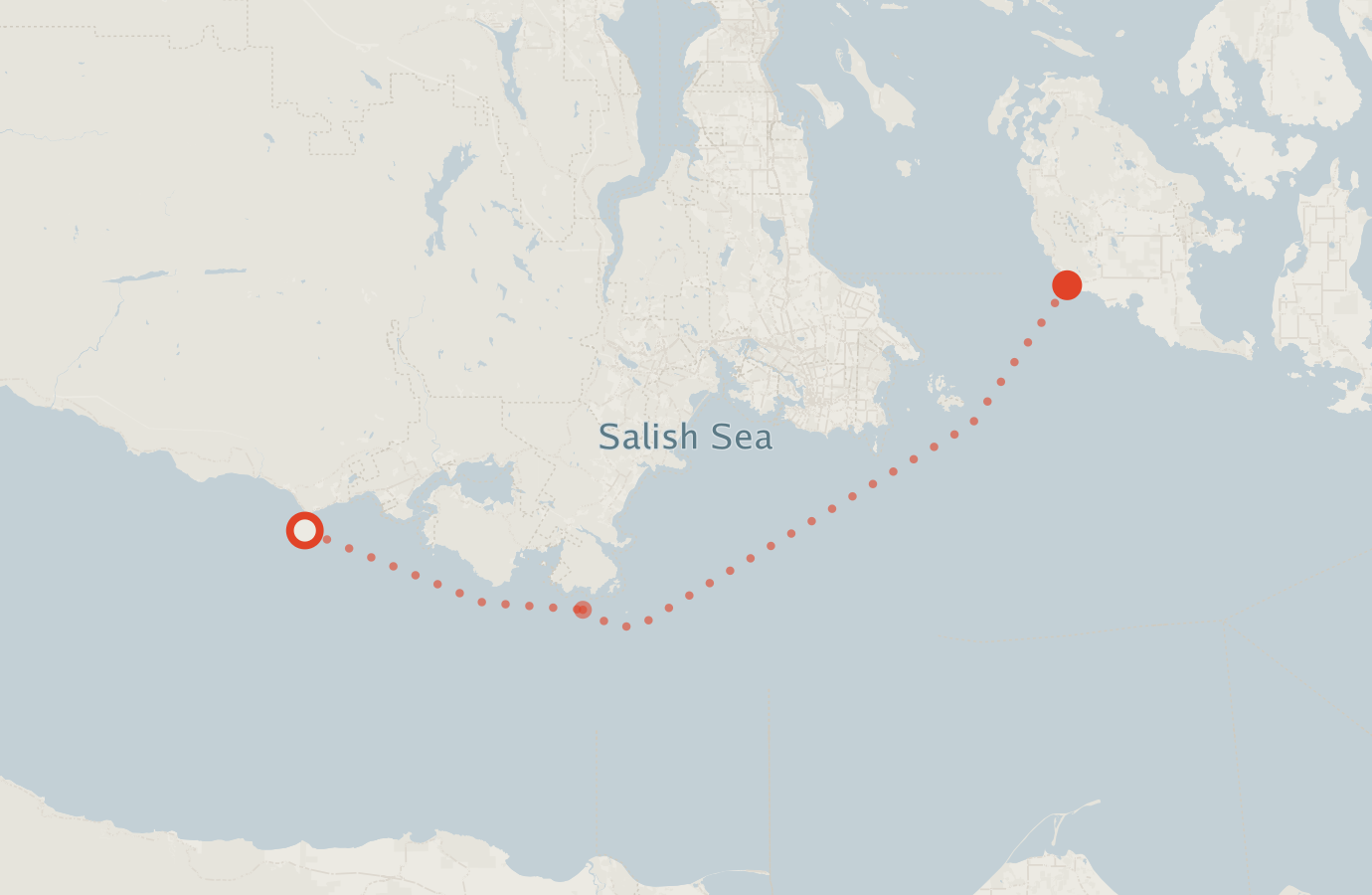 Activity map — real sighting points on an OpenStreetMap basemap