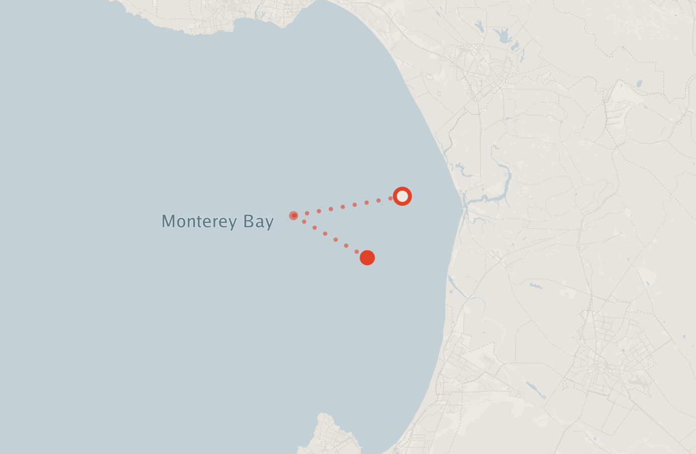Activity map — real sighting points on an OpenStreetMap basemap