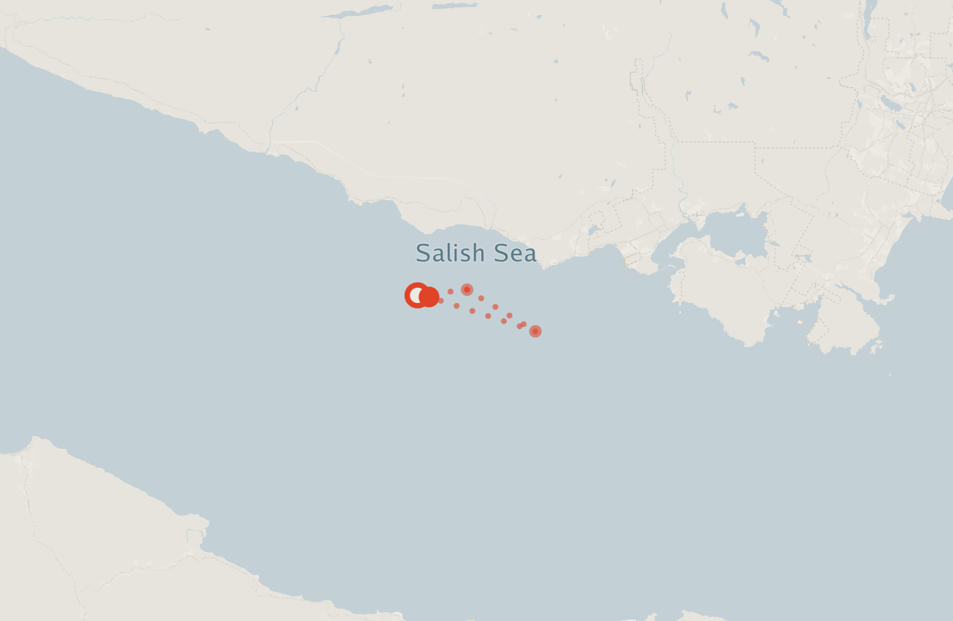 Activity map — real sighting points on an OpenStreetMap basemap