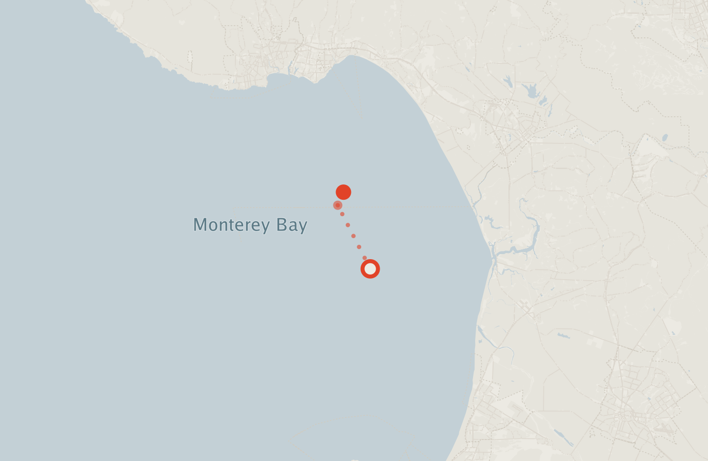 Activity map — real sighting points on an OpenStreetMap basemap