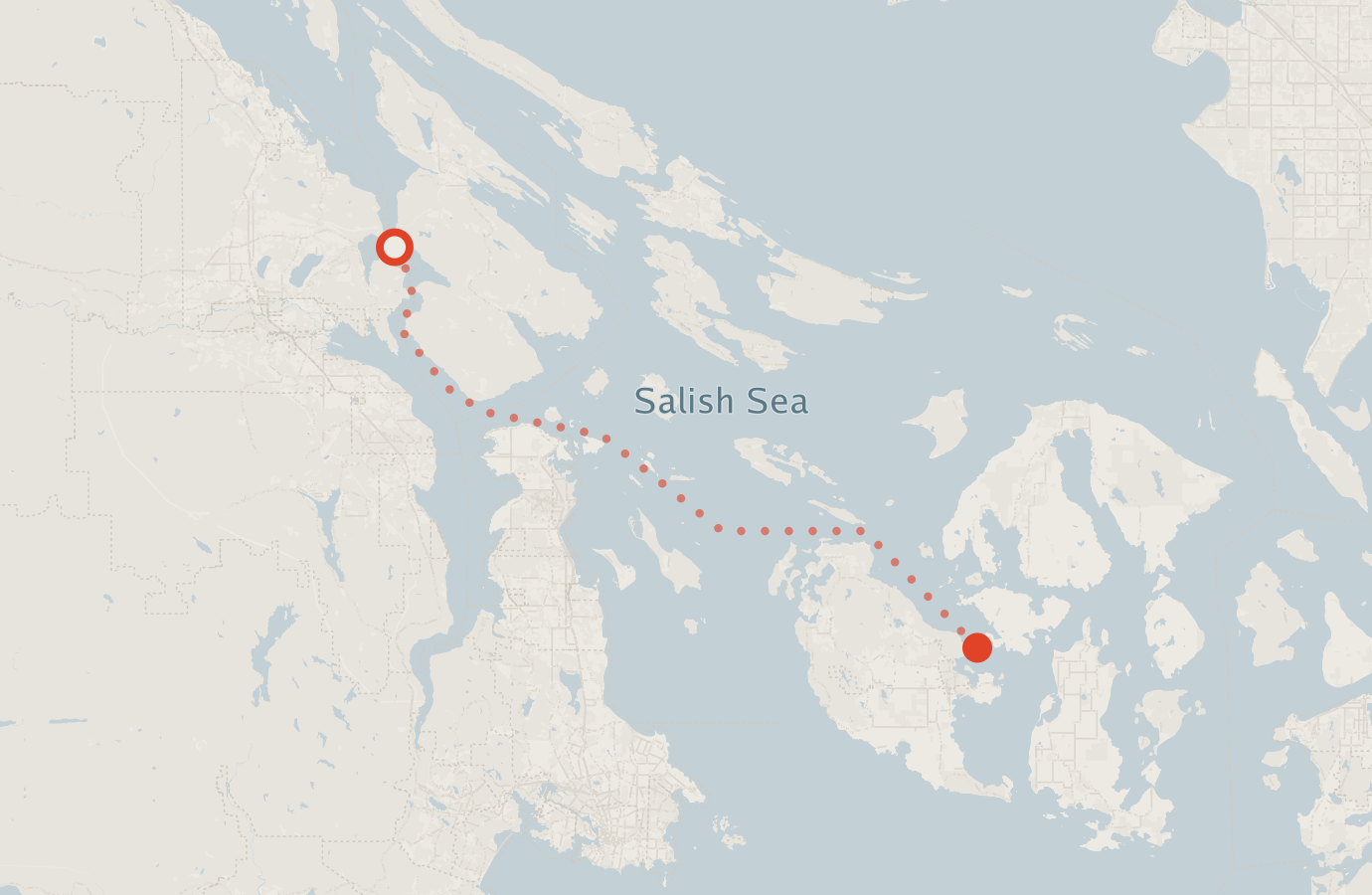 Activity map — real sighting points on an OpenStreetMap basemap