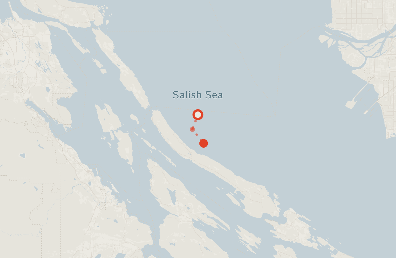 Activity map — real sighting points on an OpenStreetMap basemap