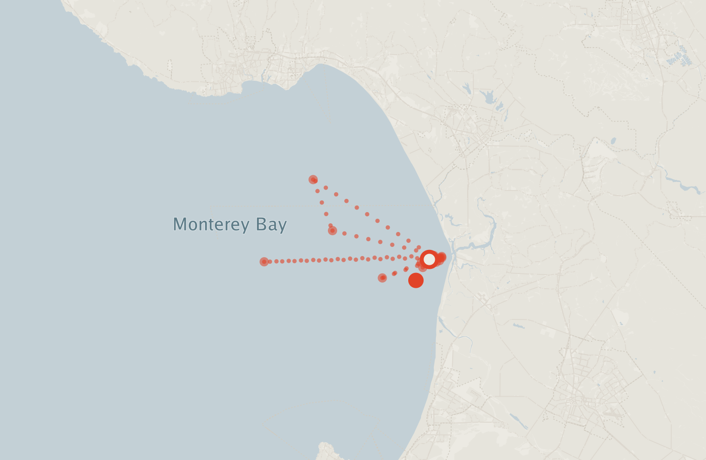 Activity map — real sighting points on an OpenStreetMap basemap