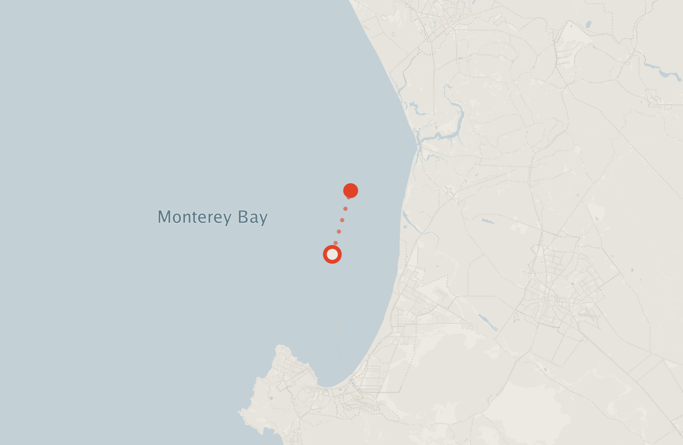 Activity map — real sighting points on an OpenStreetMap basemap