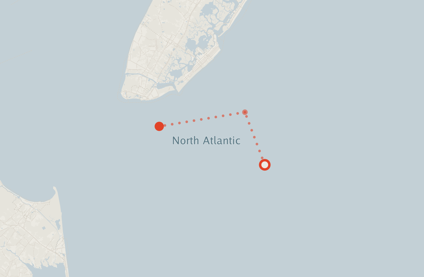Activity map — real sighting points on an OpenStreetMap basemap