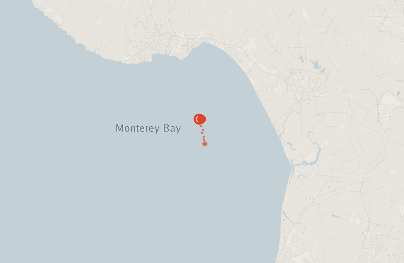 Activity map — real sighting points on an OpenStreetMap basemap