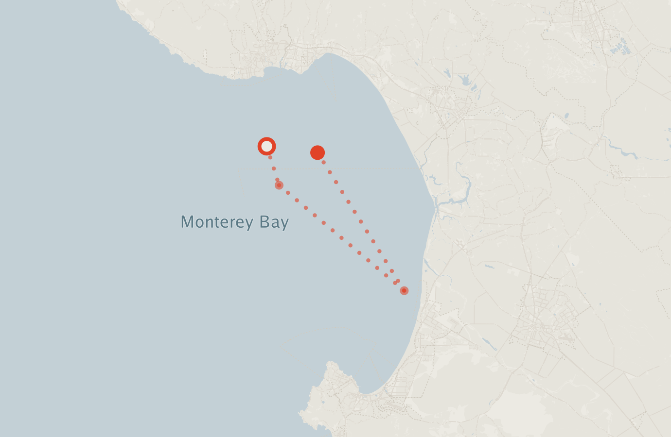 Activity map — real sighting points on an OpenStreetMap basemap