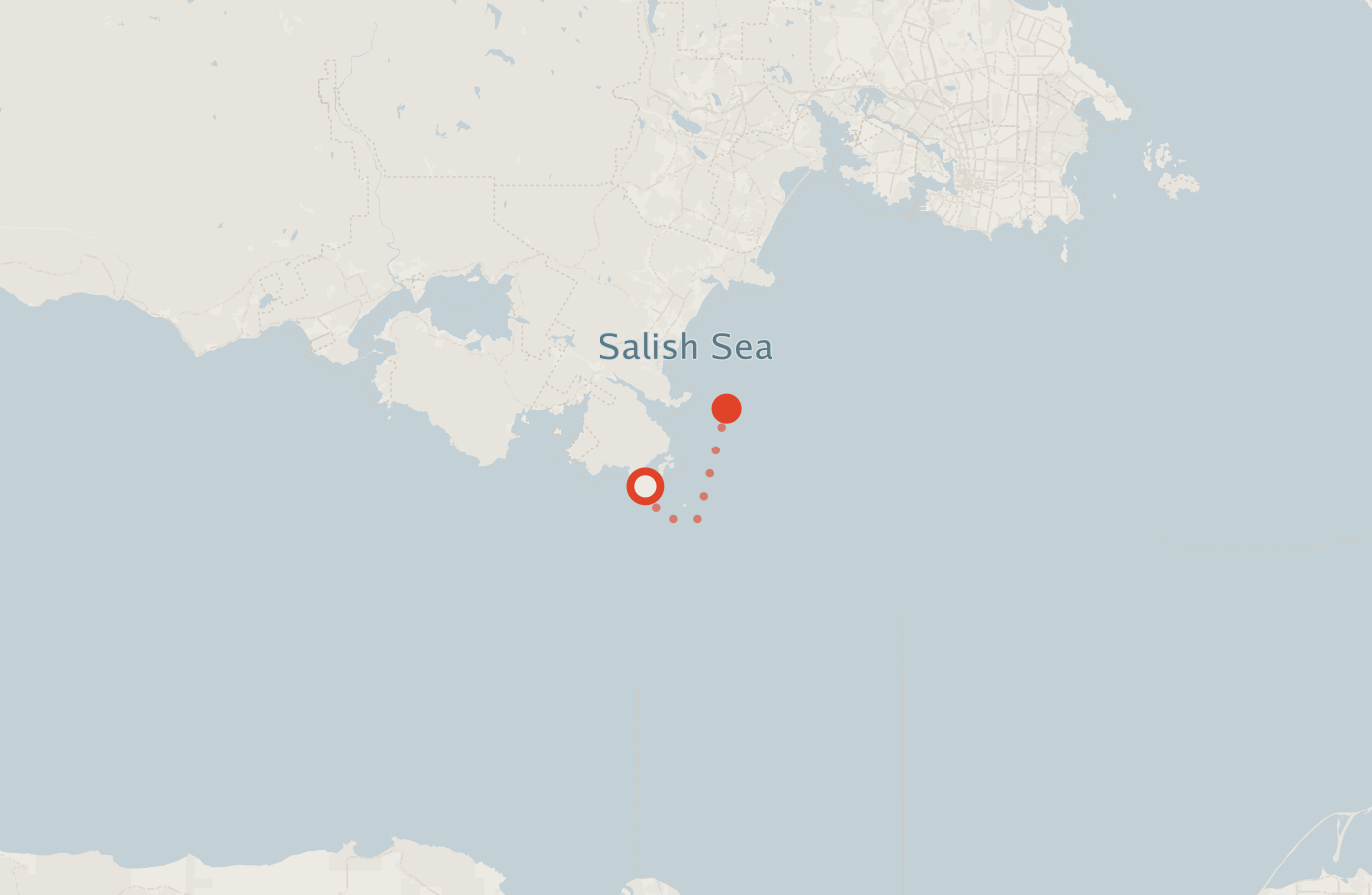 Activity map — real sighting points on an OpenStreetMap basemap