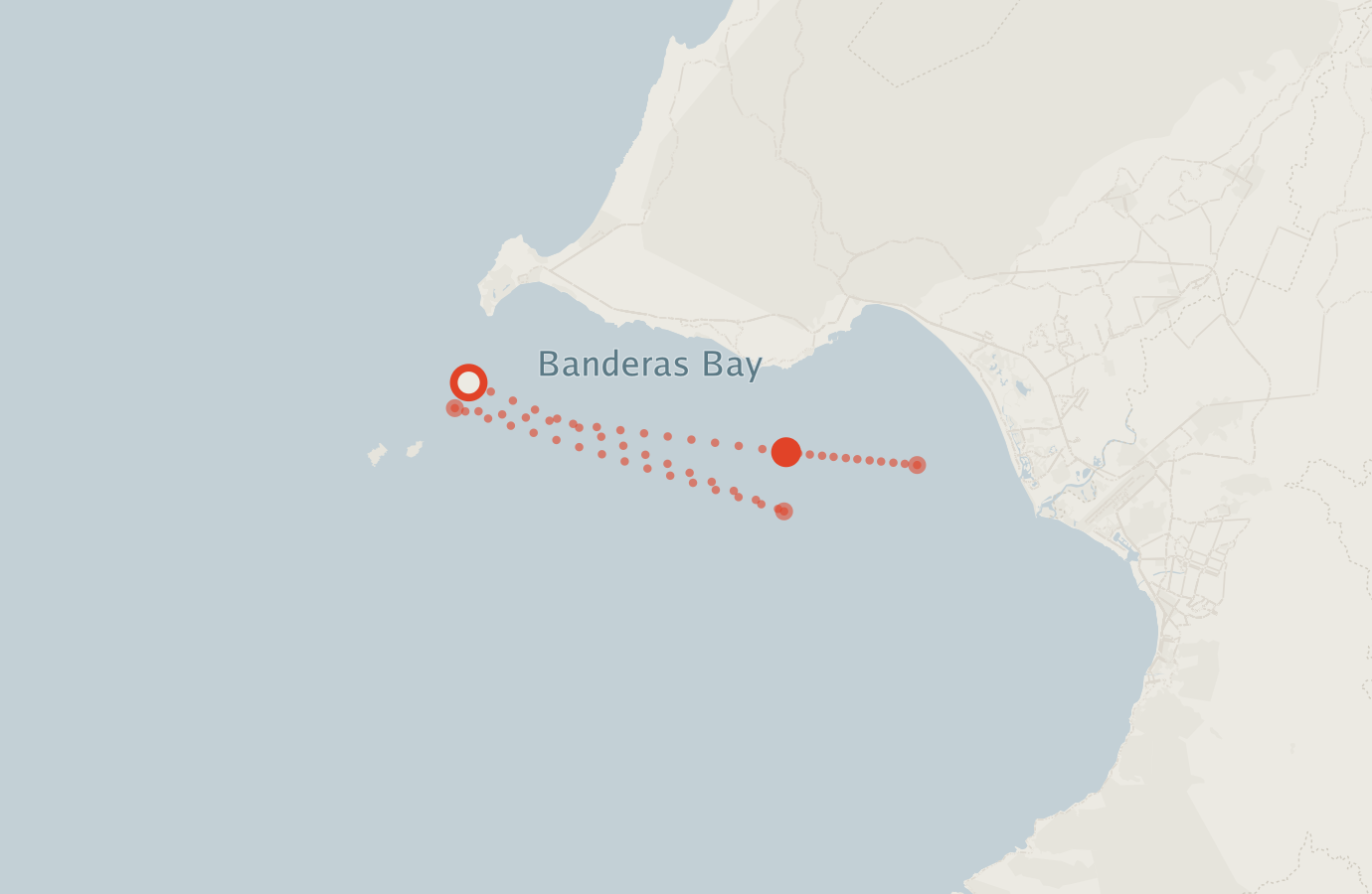 Activity map — real sighting points on an OpenStreetMap basemap