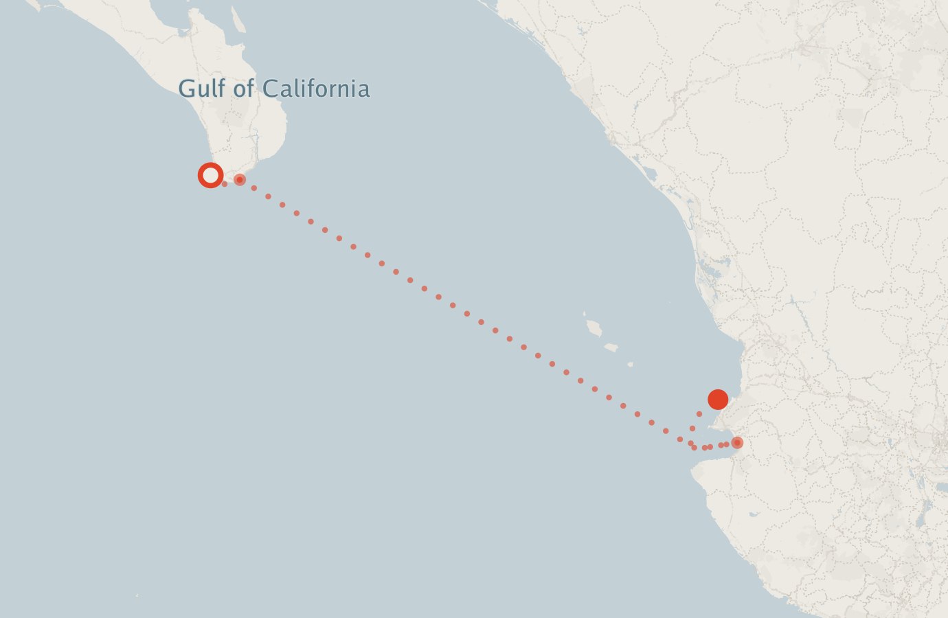 Activity map — real sighting points on an OpenStreetMap basemap