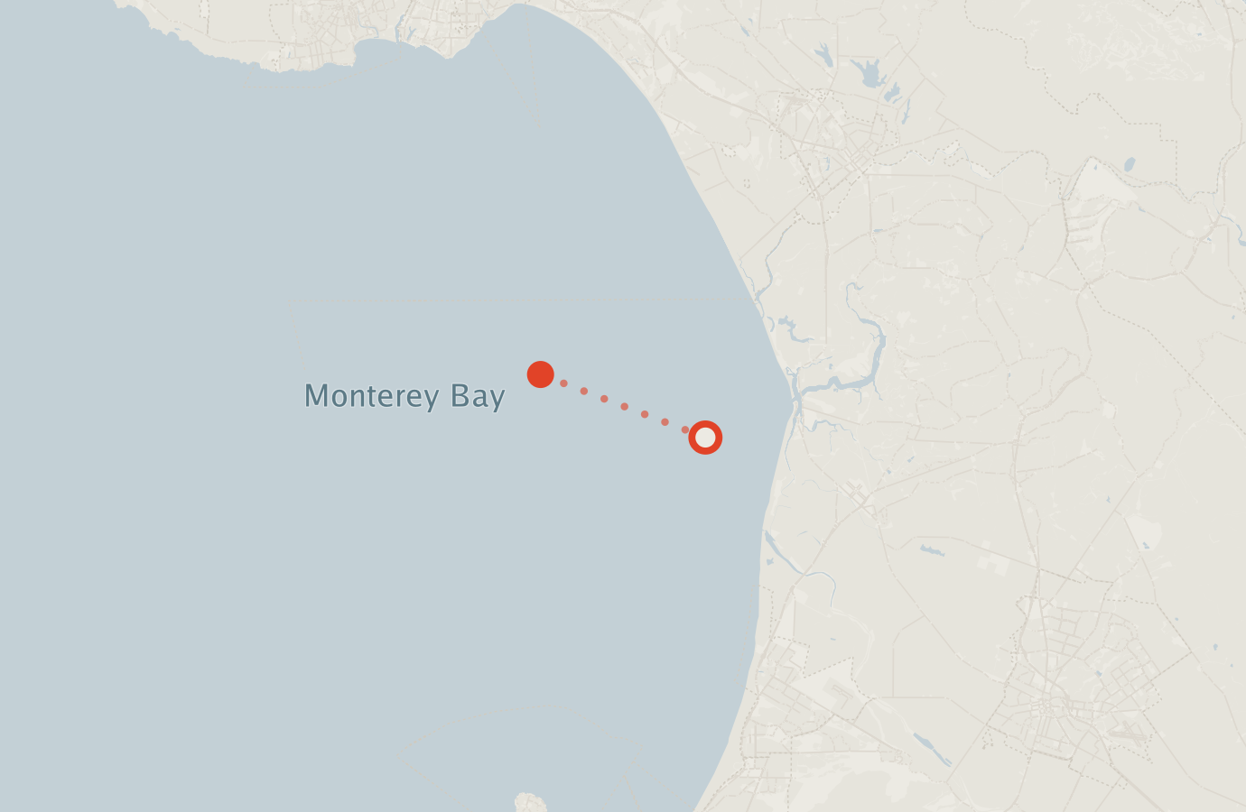 Activity map — real sighting points on an OpenStreetMap basemap