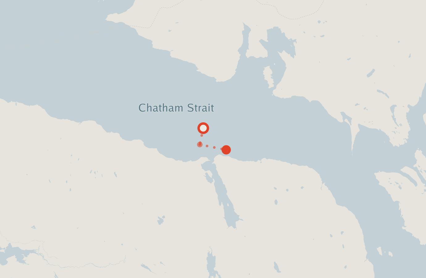 Activity map — real sighting points on an OpenStreetMap basemap