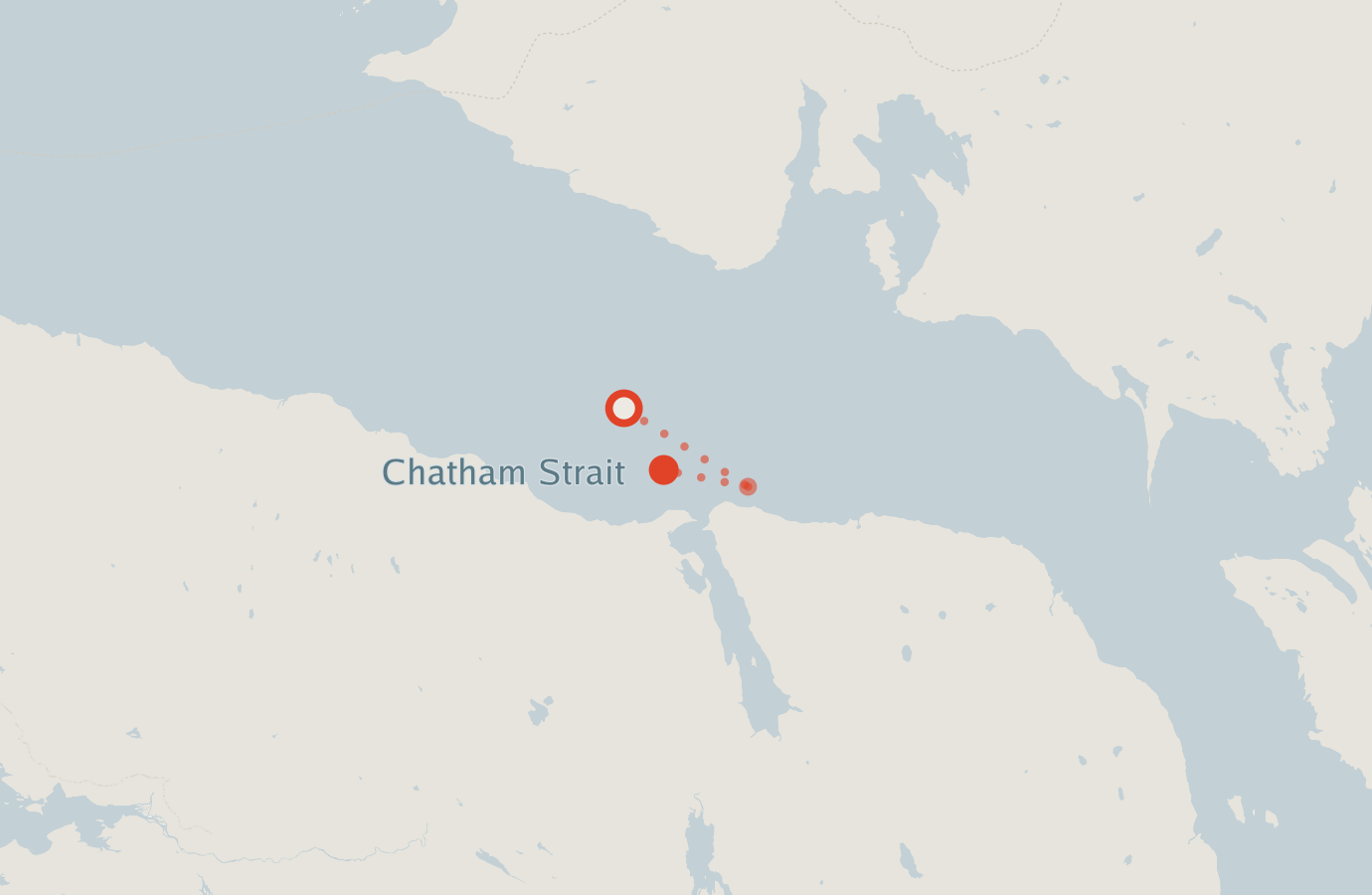 Activity map — real sighting points on an OpenStreetMap basemap