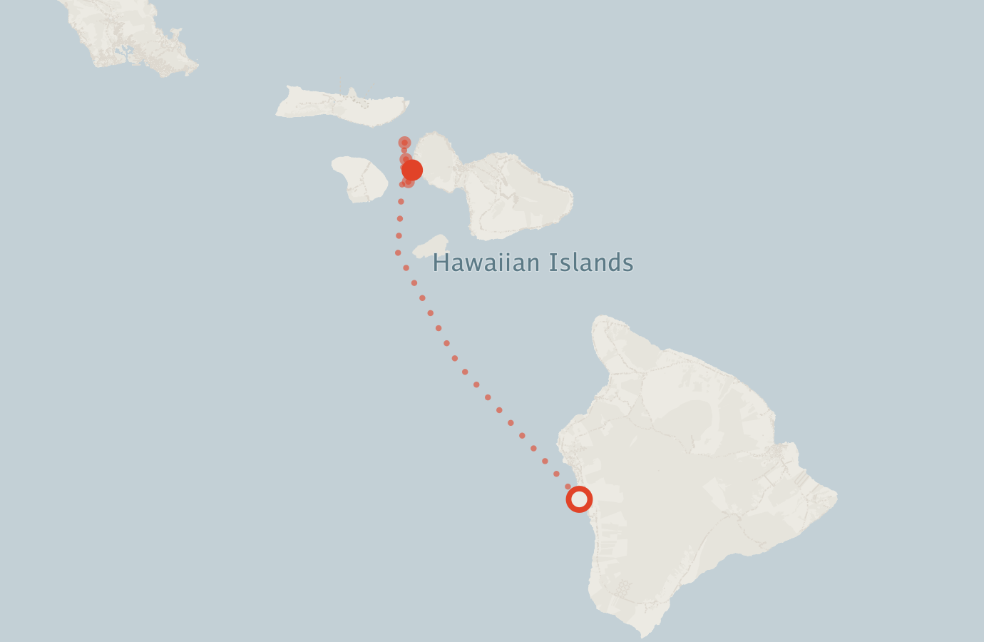 Activity map — real sighting points on an OpenStreetMap basemap