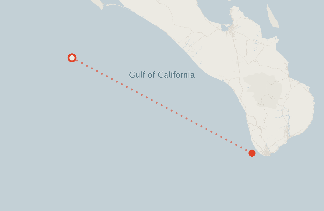 Activity map — real sighting points on an OpenStreetMap basemap