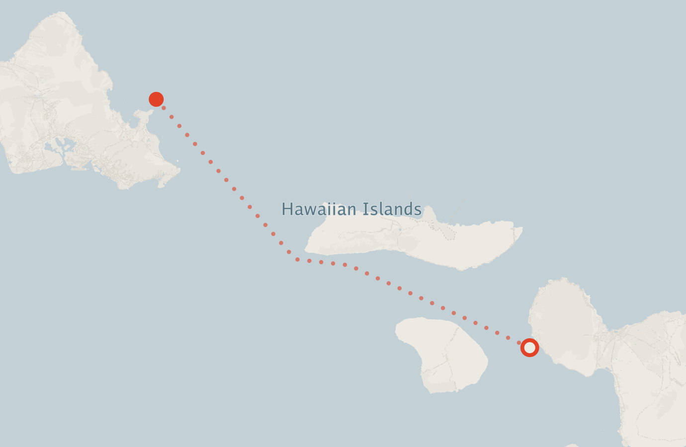 Activity map — real sighting points on an OpenStreetMap basemap