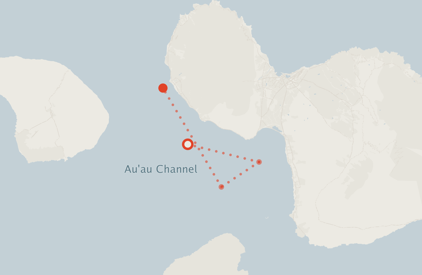 Activity map — real sighting points on an OpenStreetMap basemap