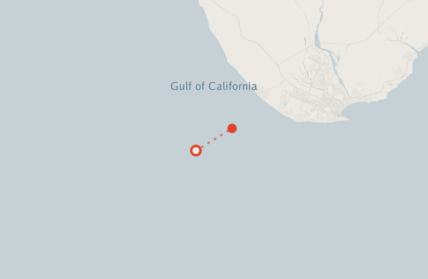 Activity map — real sighting points on an OpenStreetMap basemap