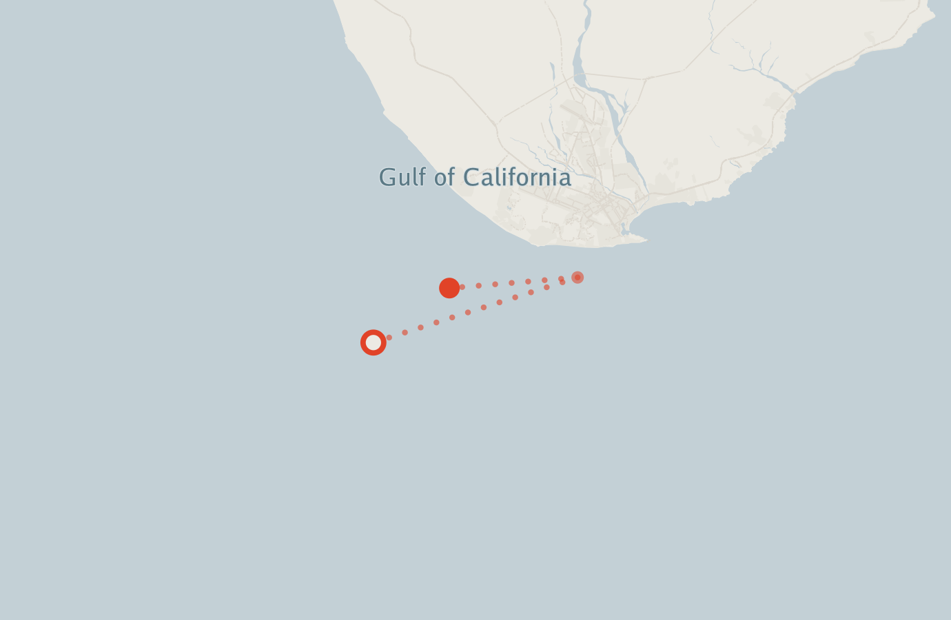 Activity map — real sighting points on an OpenStreetMap basemap