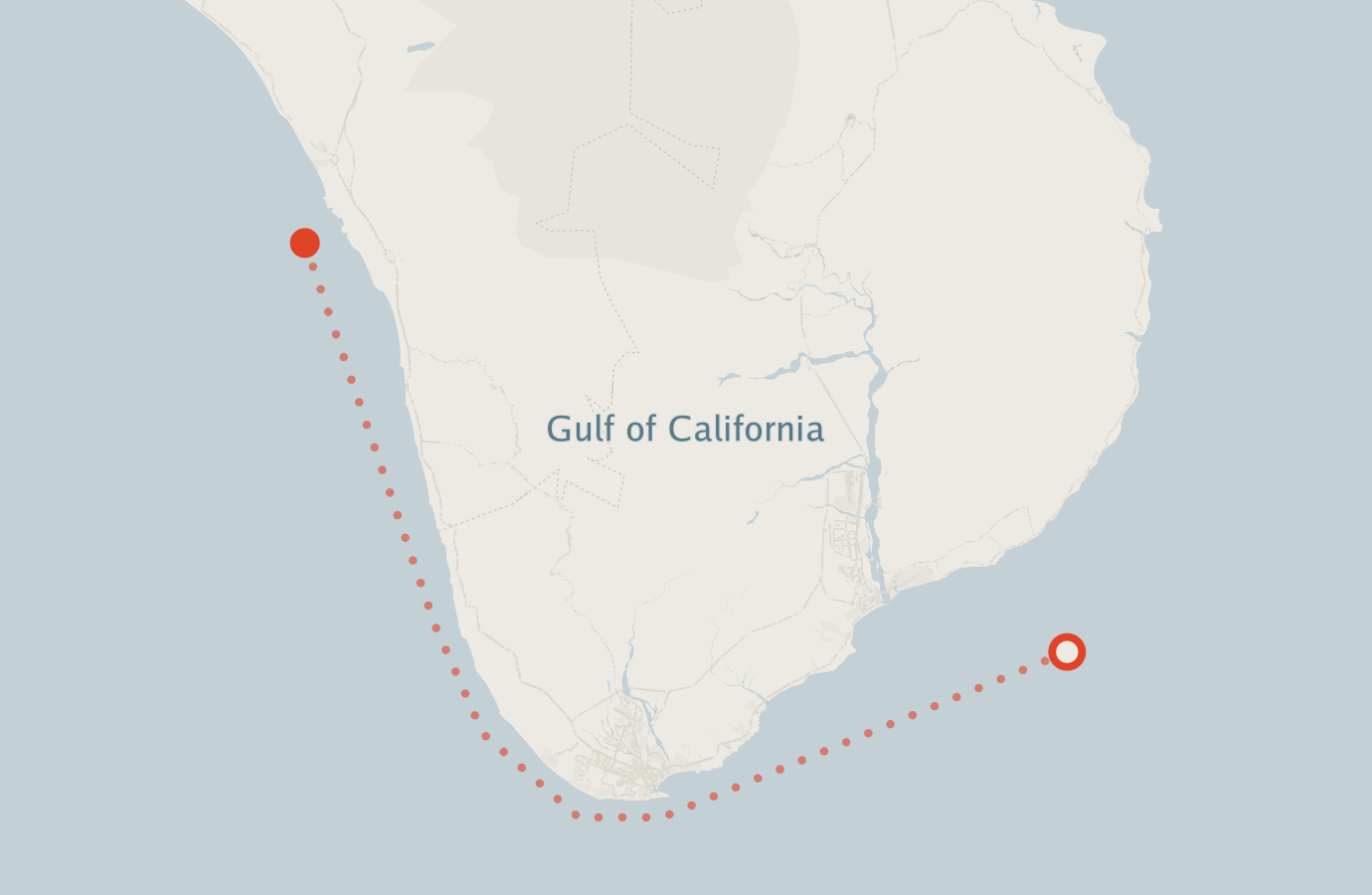 Activity map — real sighting points on an OpenStreetMap basemap