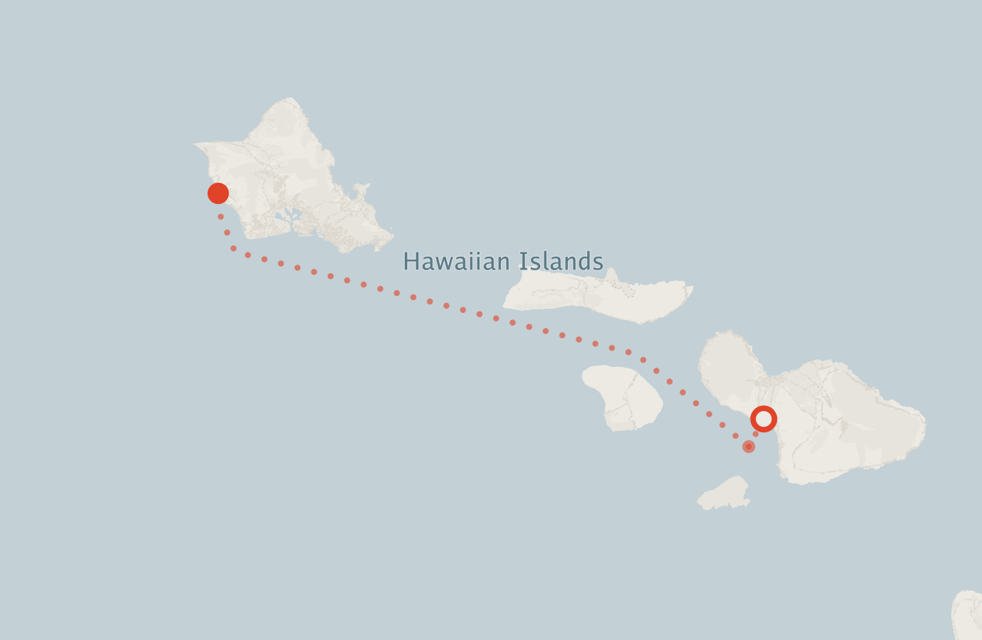 Activity map — real sighting points on an OpenStreetMap basemap