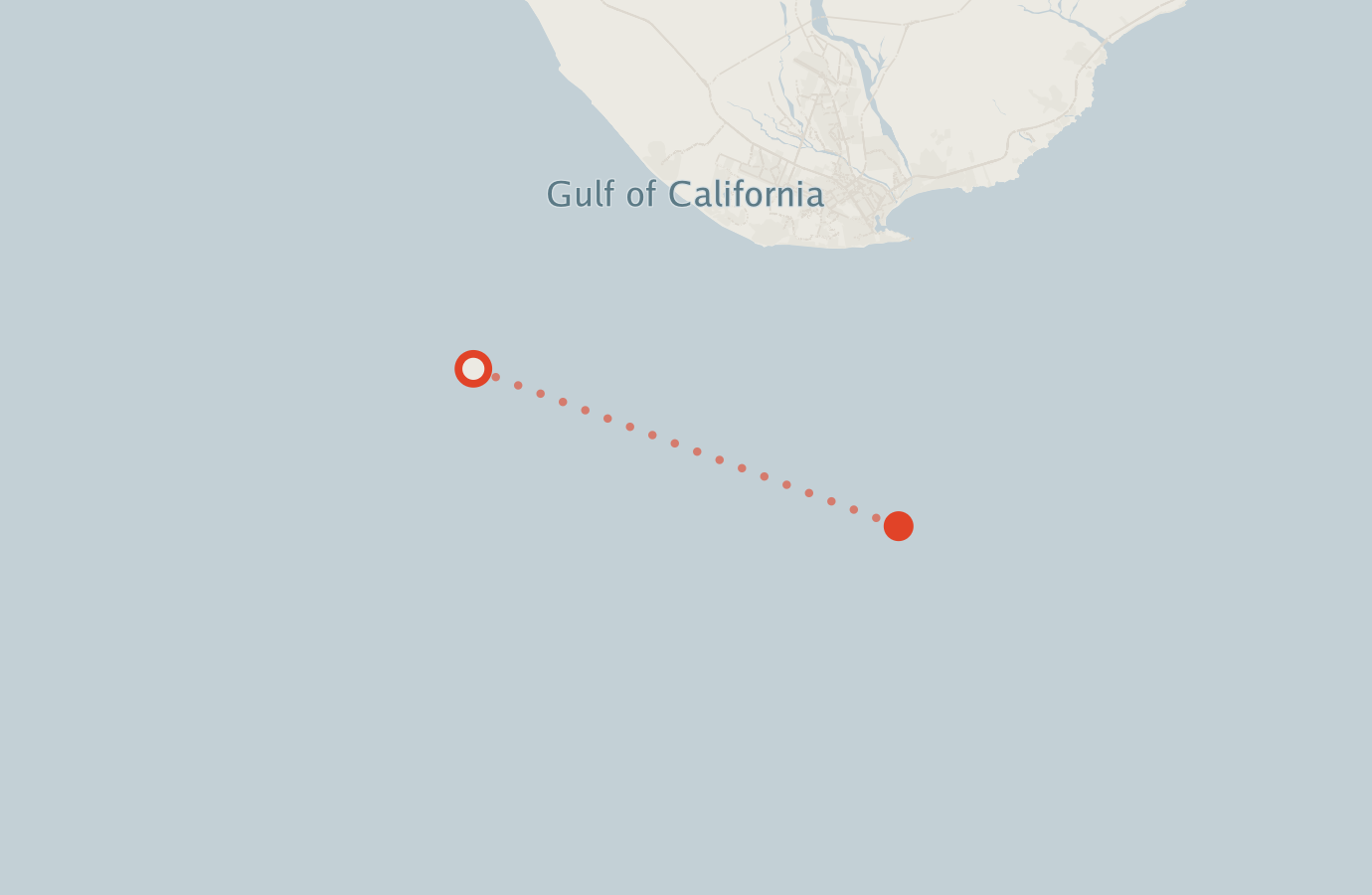 Activity map — real sighting points on an OpenStreetMap basemap