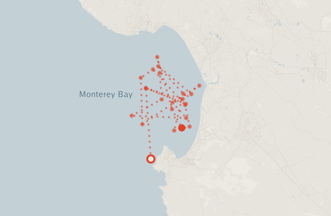 Activity map — real sighting points on an OpenStreetMap basemap