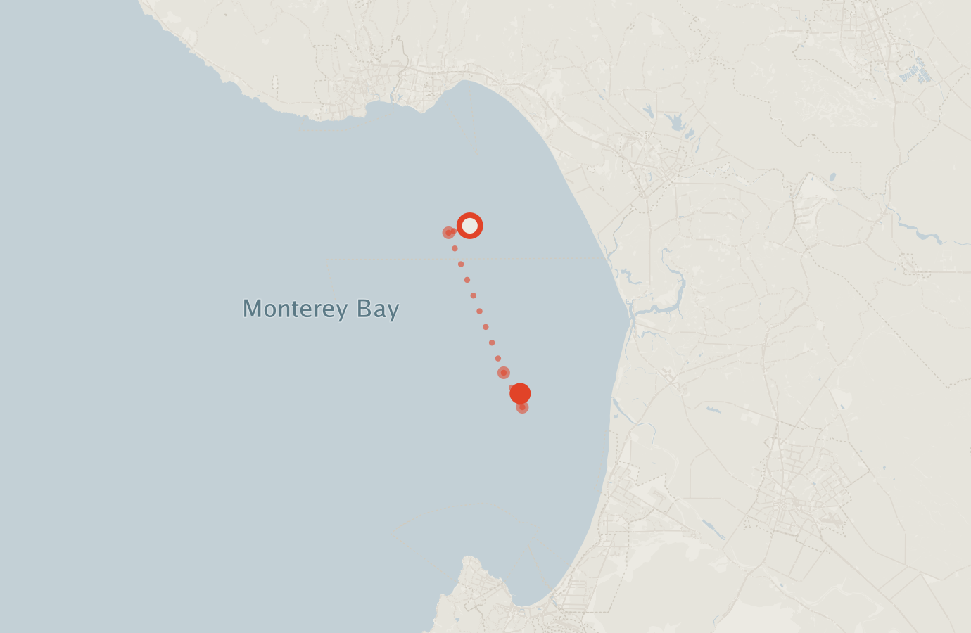 Activity map — real sighting points on an OpenStreetMap basemap