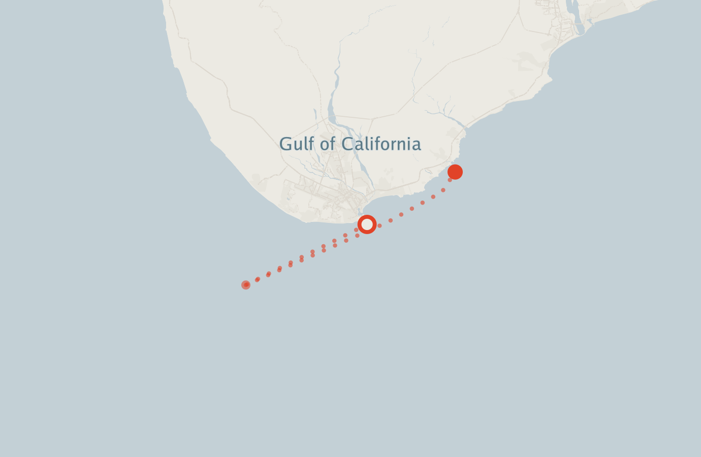 Activity map — real sighting points on an OpenStreetMap basemap