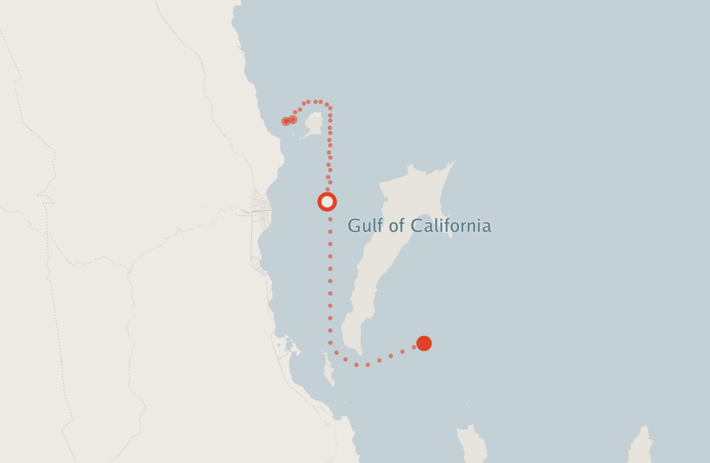 Activity map — real sighting points on an OpenStreetMap basemap
